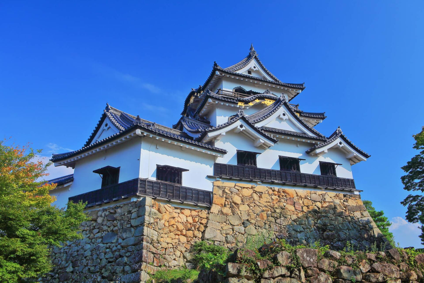 6月出発【日本】近江商人の故郷と神が宿る竹生島 歴史折り重なる名勝・旧跡を巡る滋賀周遊の旅【4日間】