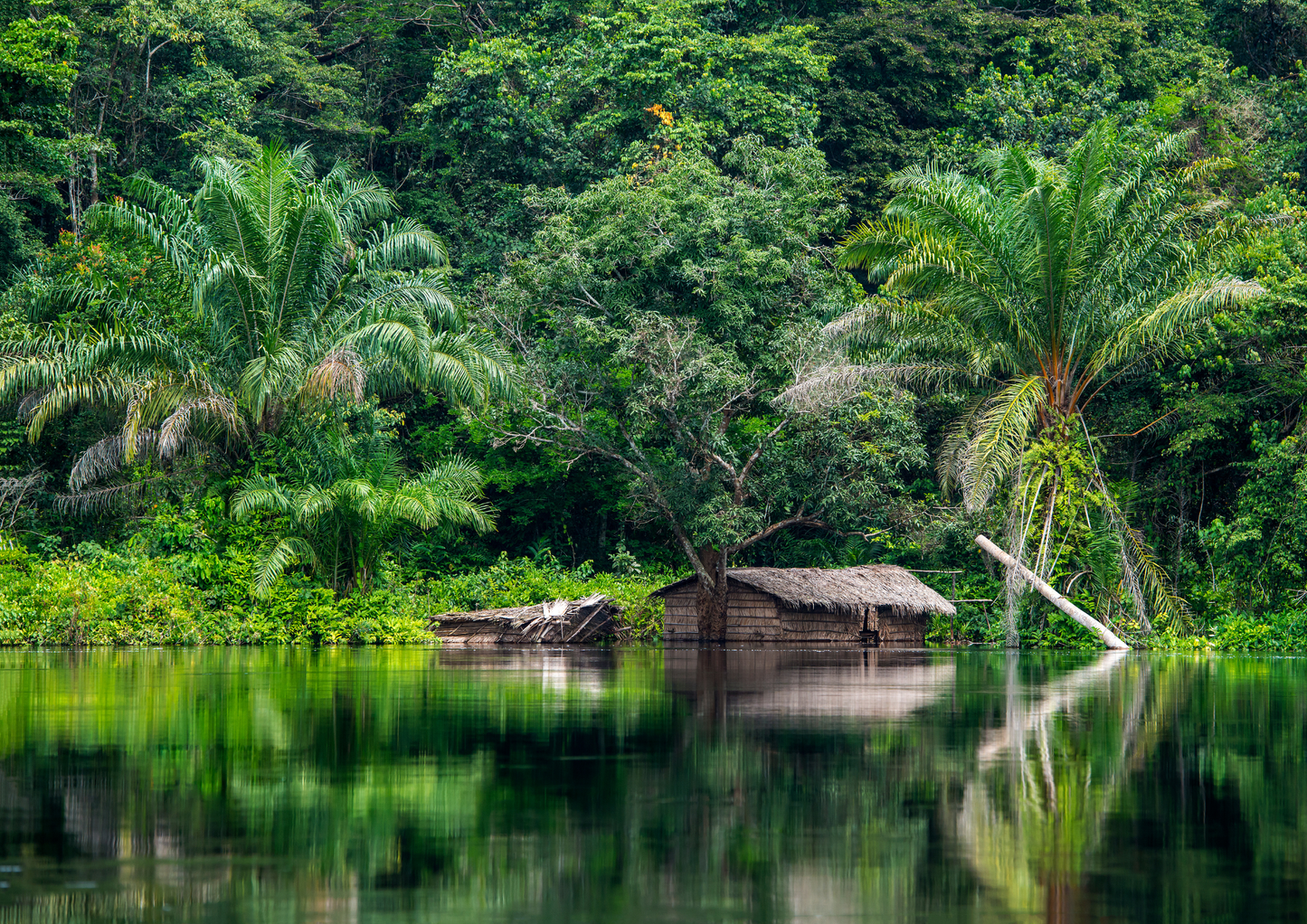 Waterways of Africa – Lakes & Rivers Safari